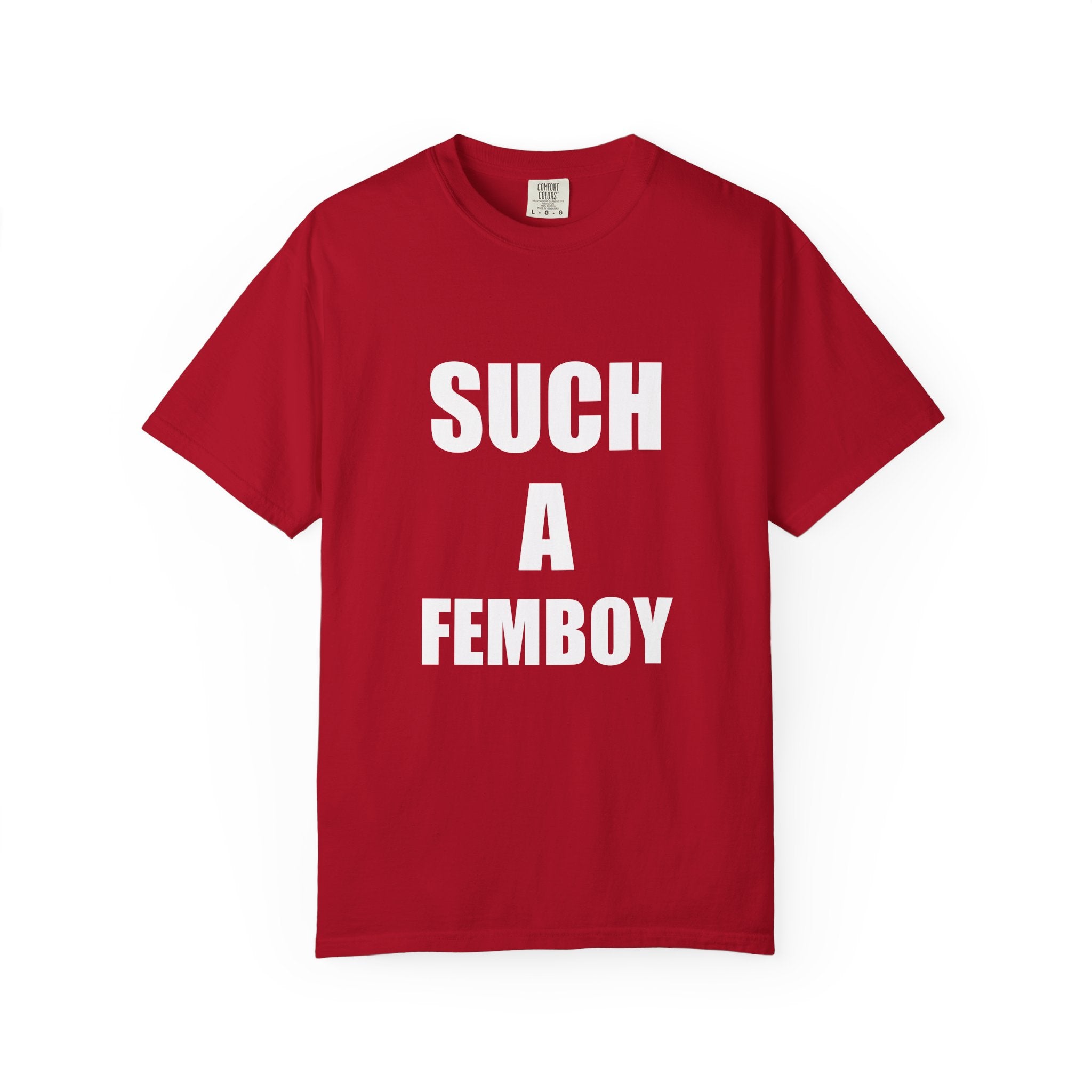 SUCH A FEMBOY tee shirt