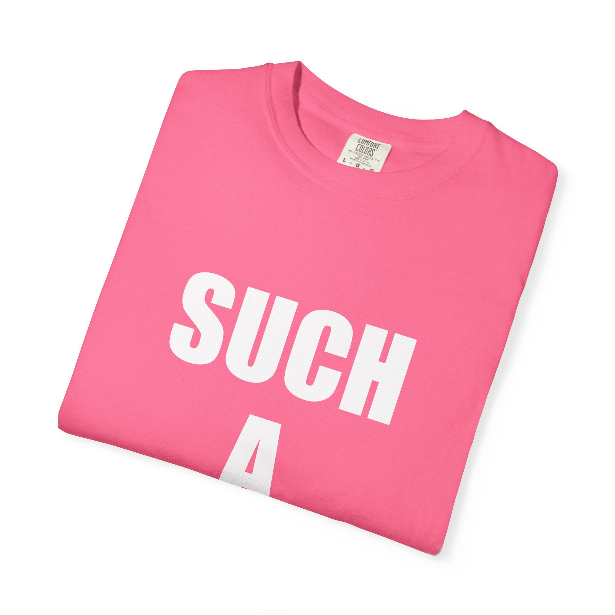 SUCH A FEMBOY tee shirt