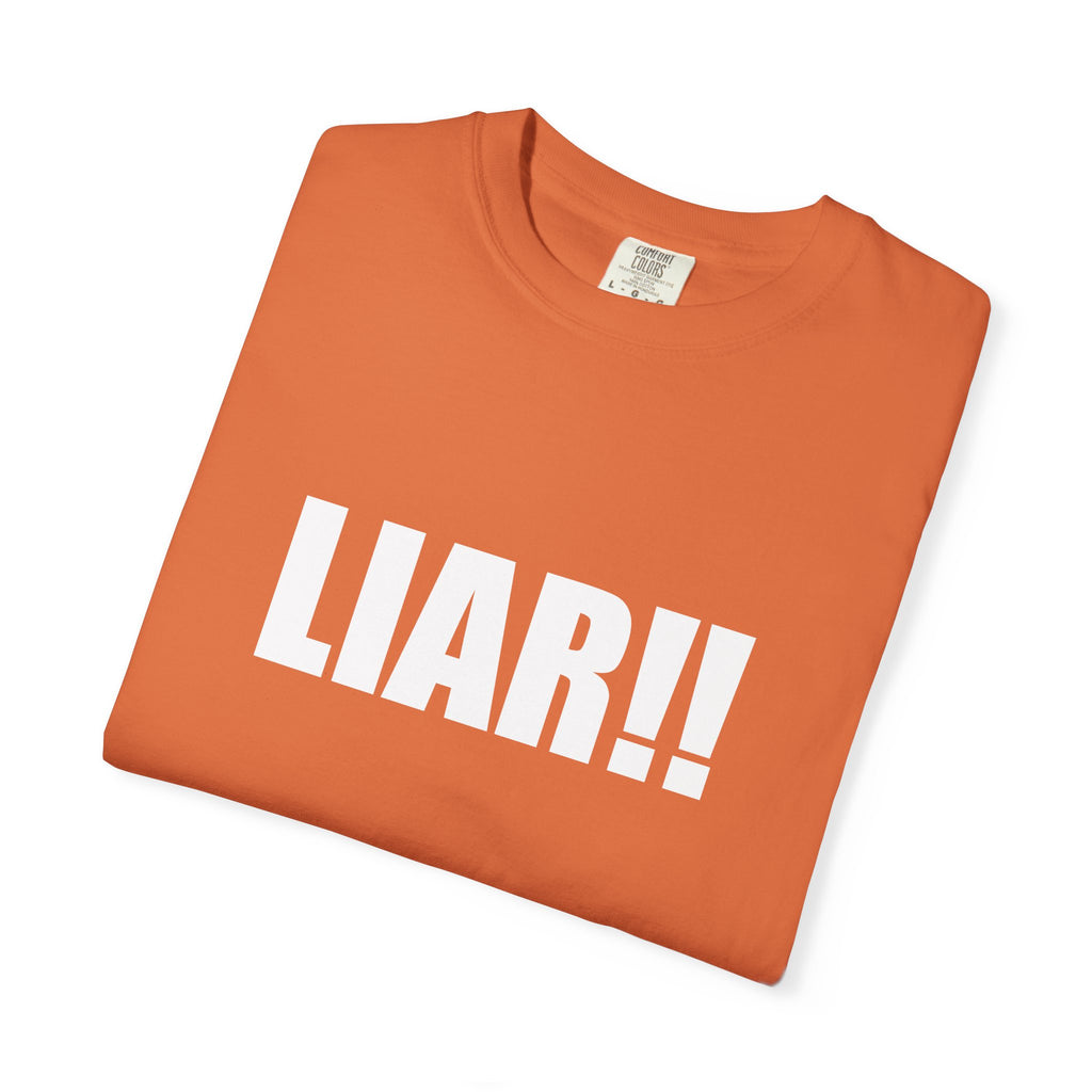 LIAR tee shirt (katie kat inspo)