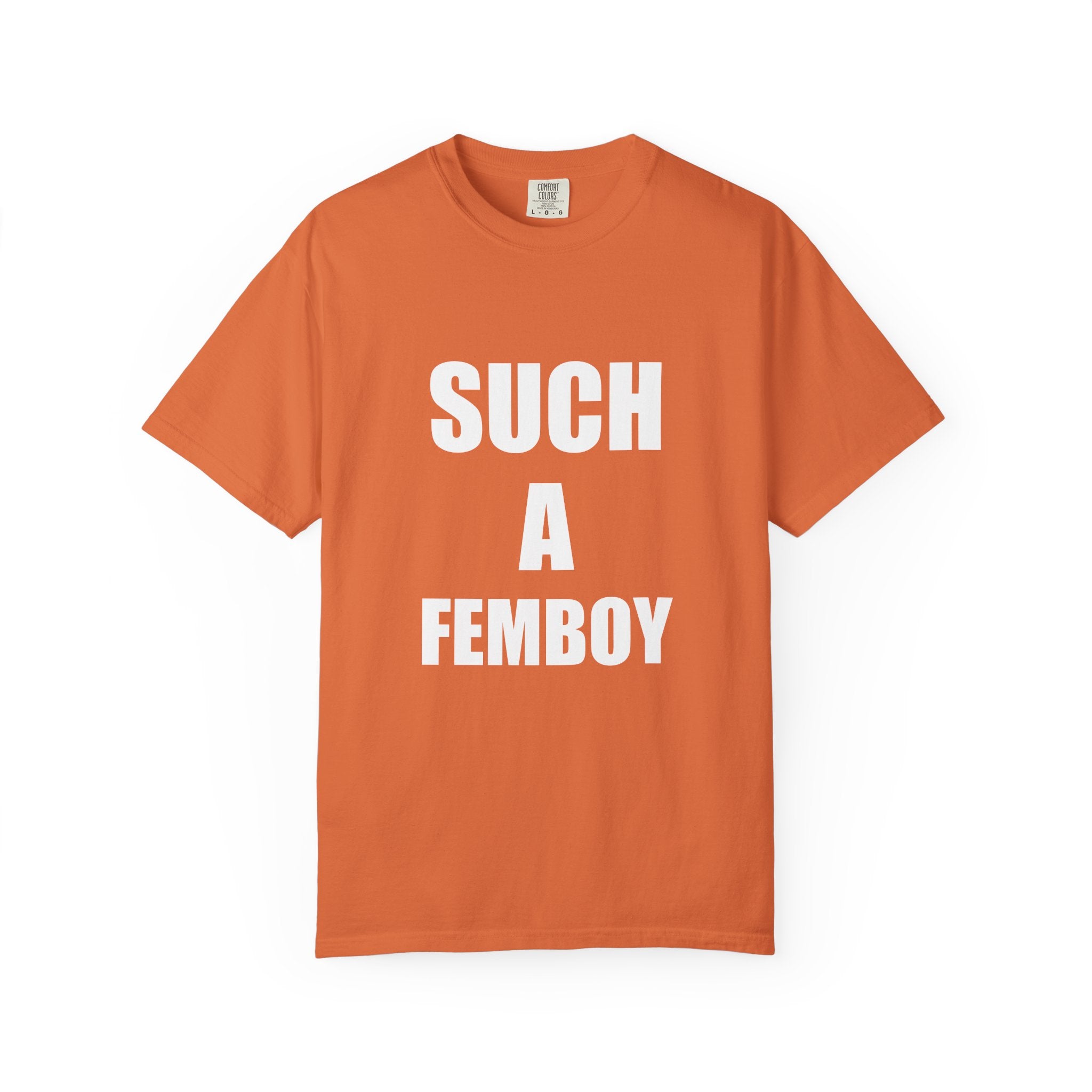 SUCH A FEMBOY tee shirt