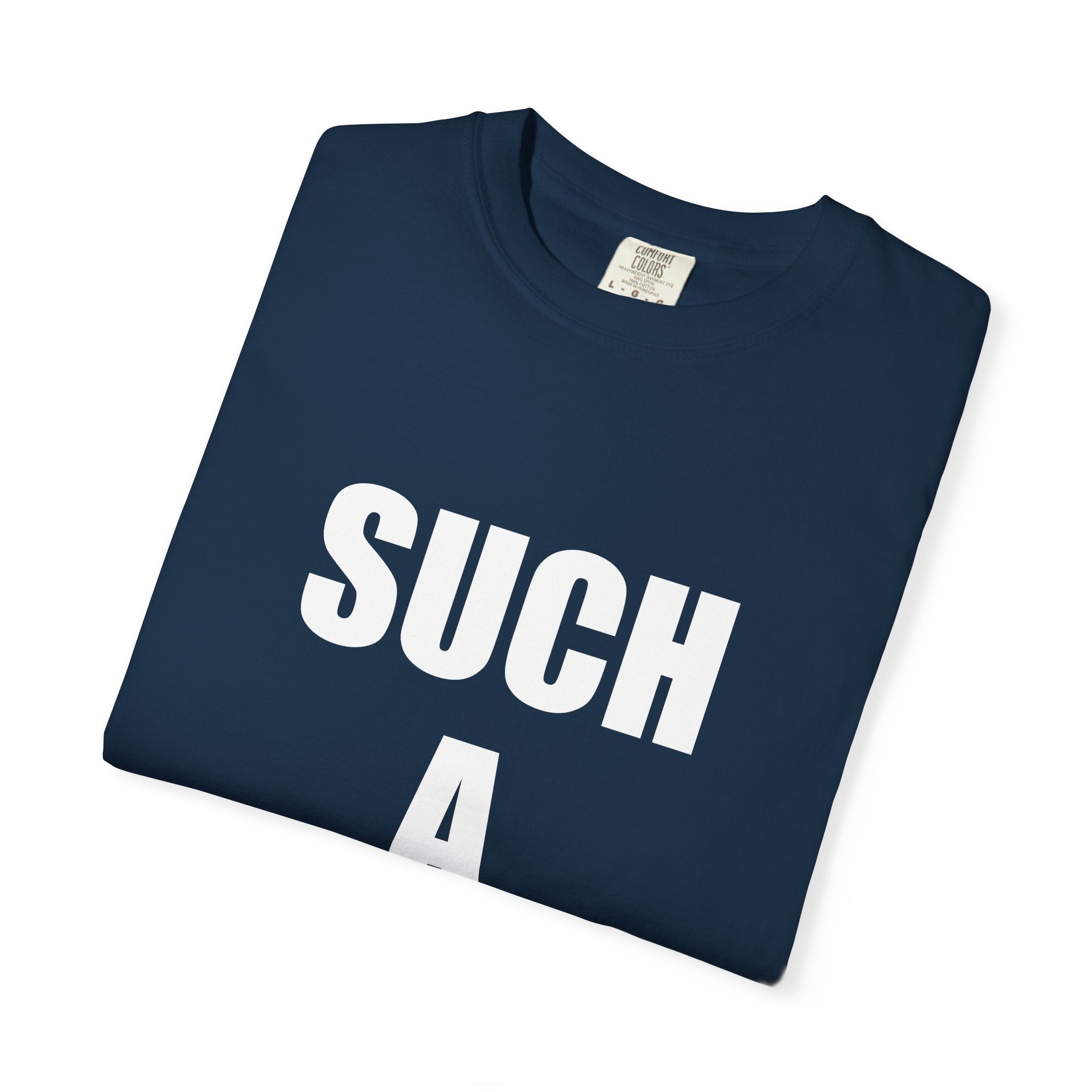 SUCH A FEMBOY tee shirt