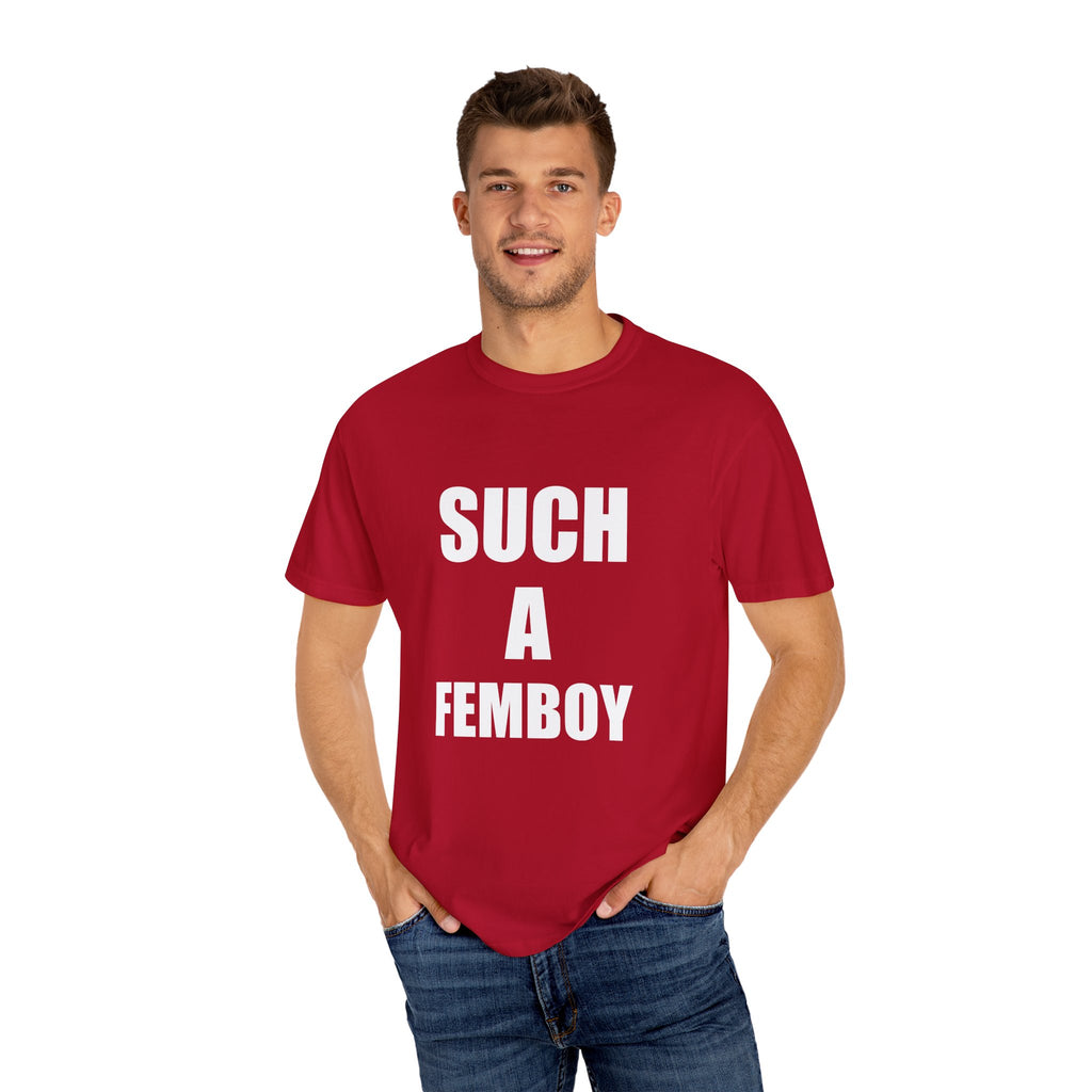SUCH A FEMBOY tee shirt